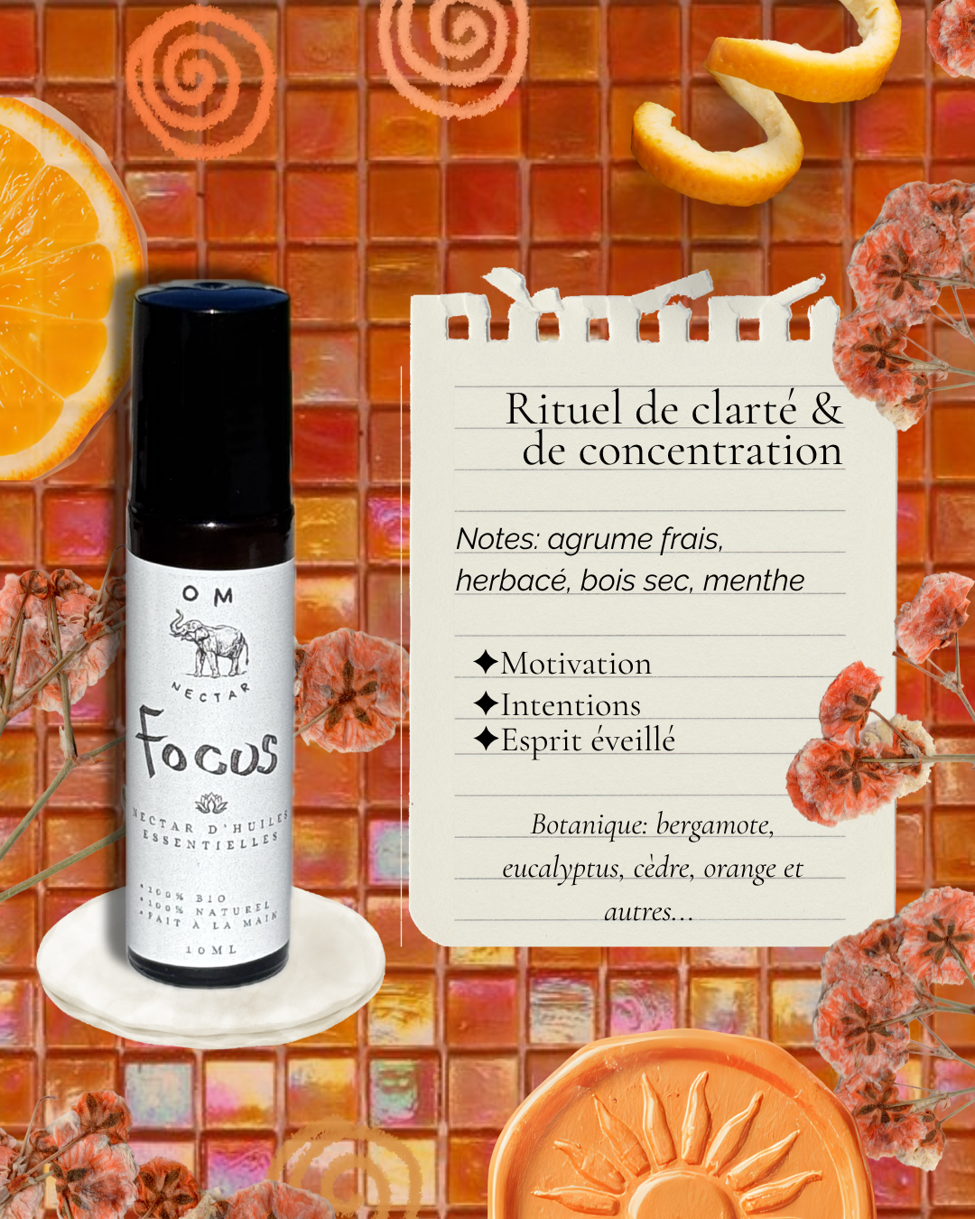 Focus - Rituel